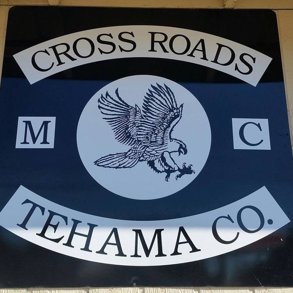 Meet your Posher, Curly - Picture 1 of 1